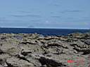 Ailsa Craig.JPG