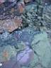 Coloured Rocks 1.JPG