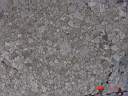 Map Lichen.JPG