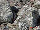 Wallpapered rocks.JPG