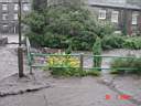 DSC00463.JPG