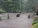 DSC00464.JPG