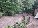DSC00469.JPG