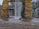 Zoo Elephants 3.jpg
